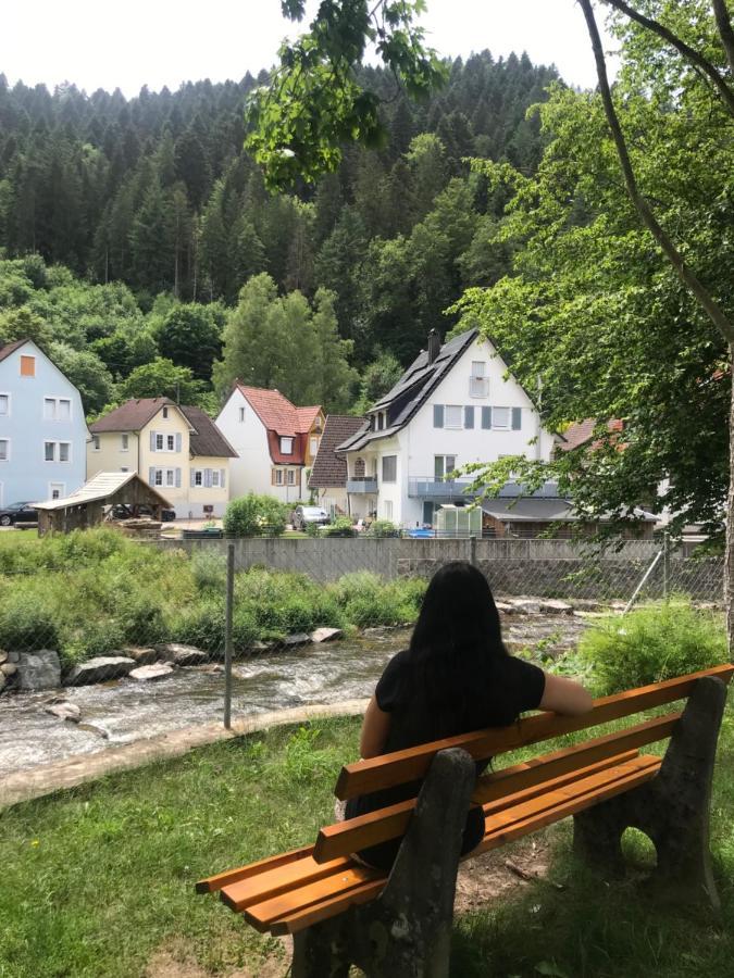 S-Villa Apartments Im Schwarzwald Schiltach Esterno foto