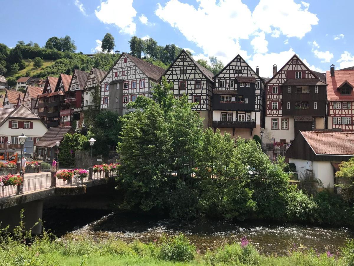 S-Villa Apartments Im Schwarzwald Schiltach Esterno foto
