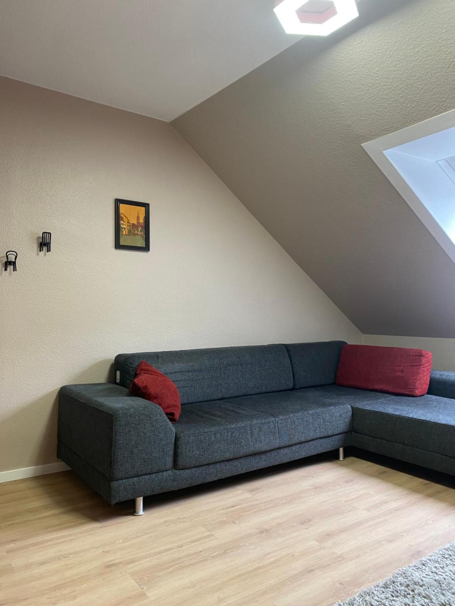 S-Villa Apartments Im Schwarzwald Schiltach Esterno foto