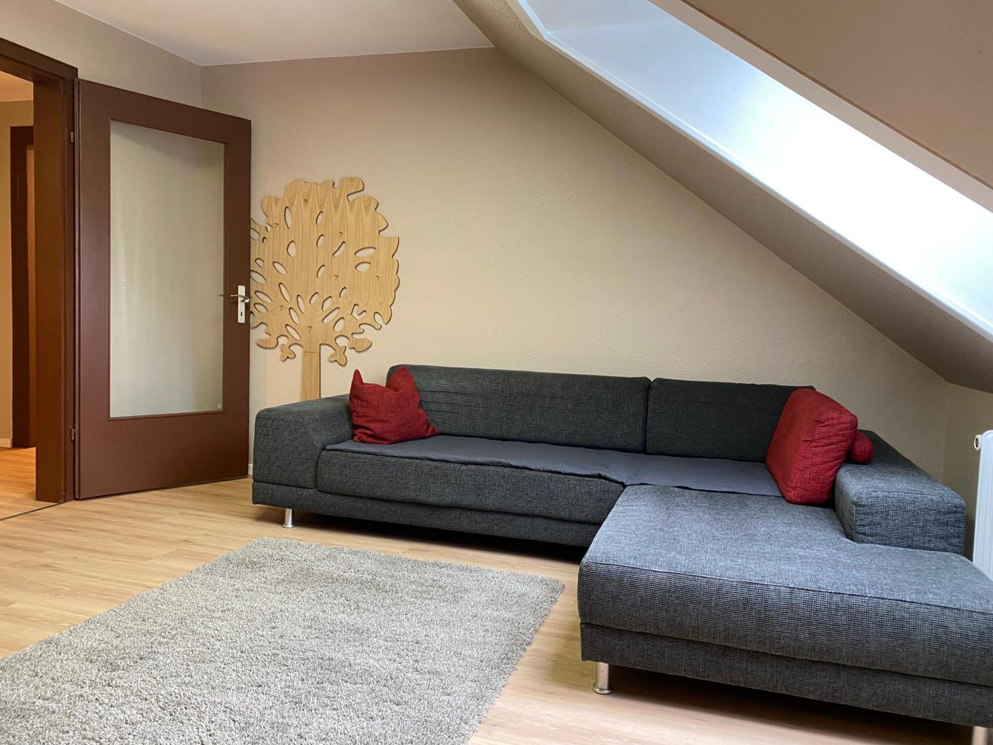 S-Villa Apartments Im Schwarzwald Schiltach Esterno foto