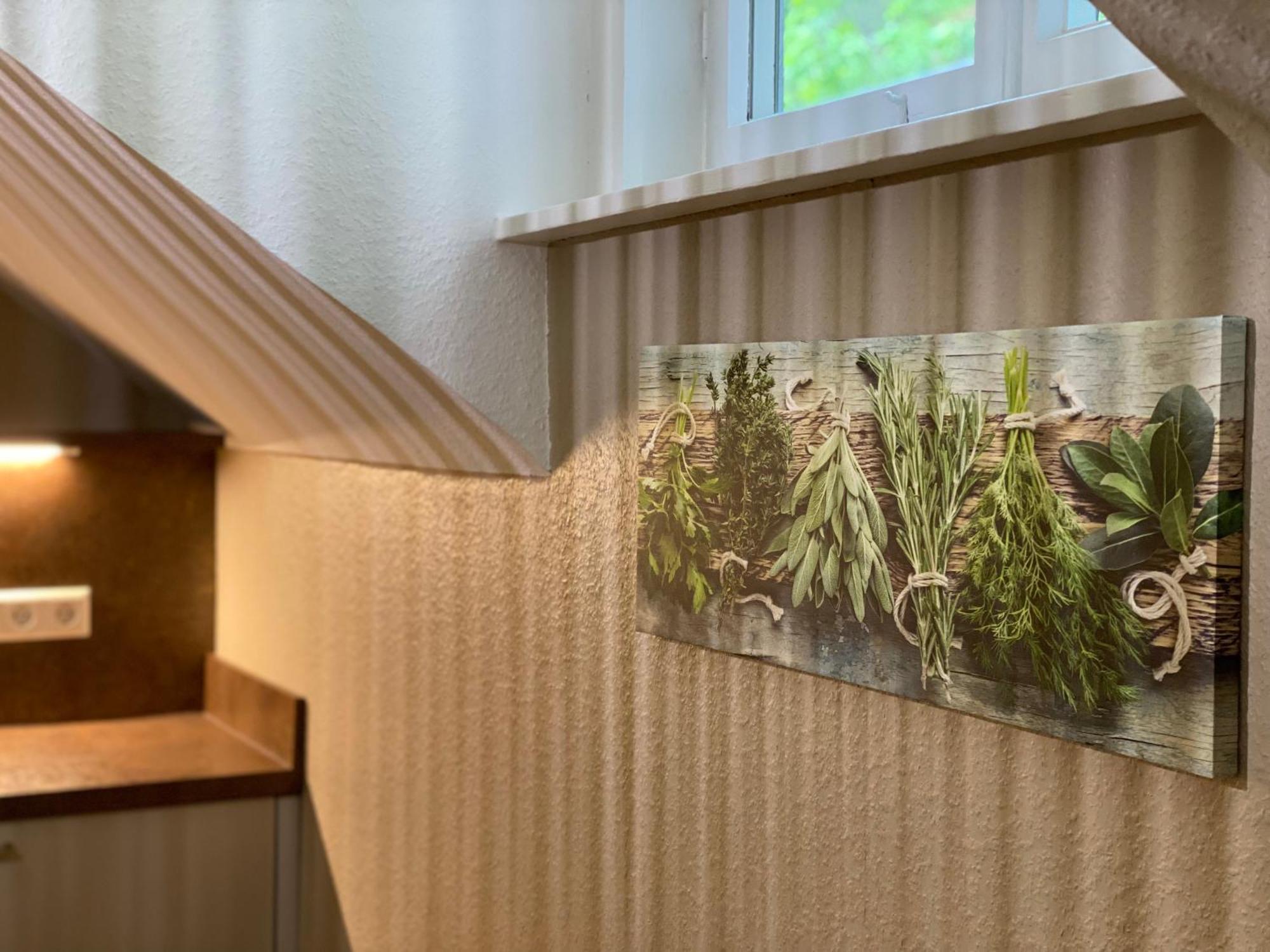 S-Villa Apartments Im Schwarzwald Schiltach Esterno foto